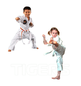 Programa Tigers
